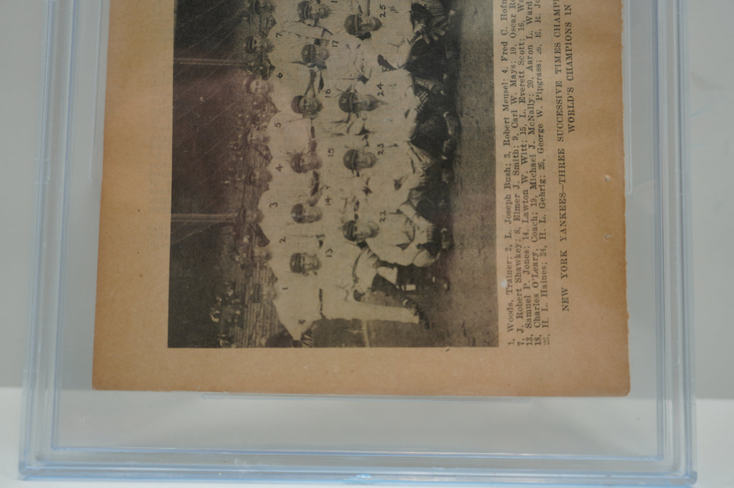 1924 Spalding baseball Yankee's SGC Authentic