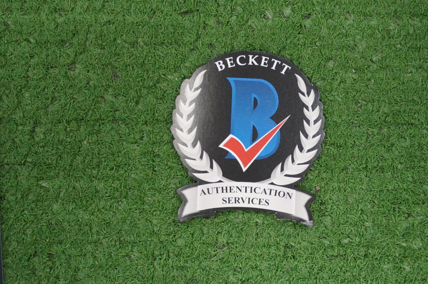 JULIO RUIZ SIGNED 8X10 PHOTO Suicide Squad BAS COA