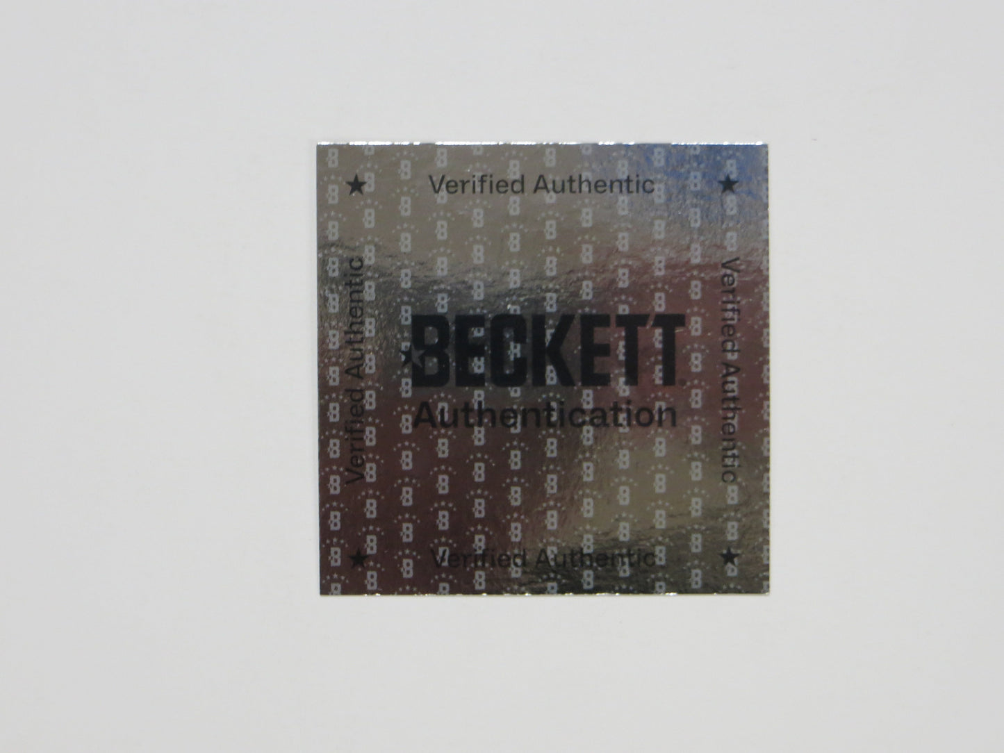 ED BELFOUR Dallas Stars SIGNED In Goal 16x20 PHOTO Leafs Blackhawks BAS COA