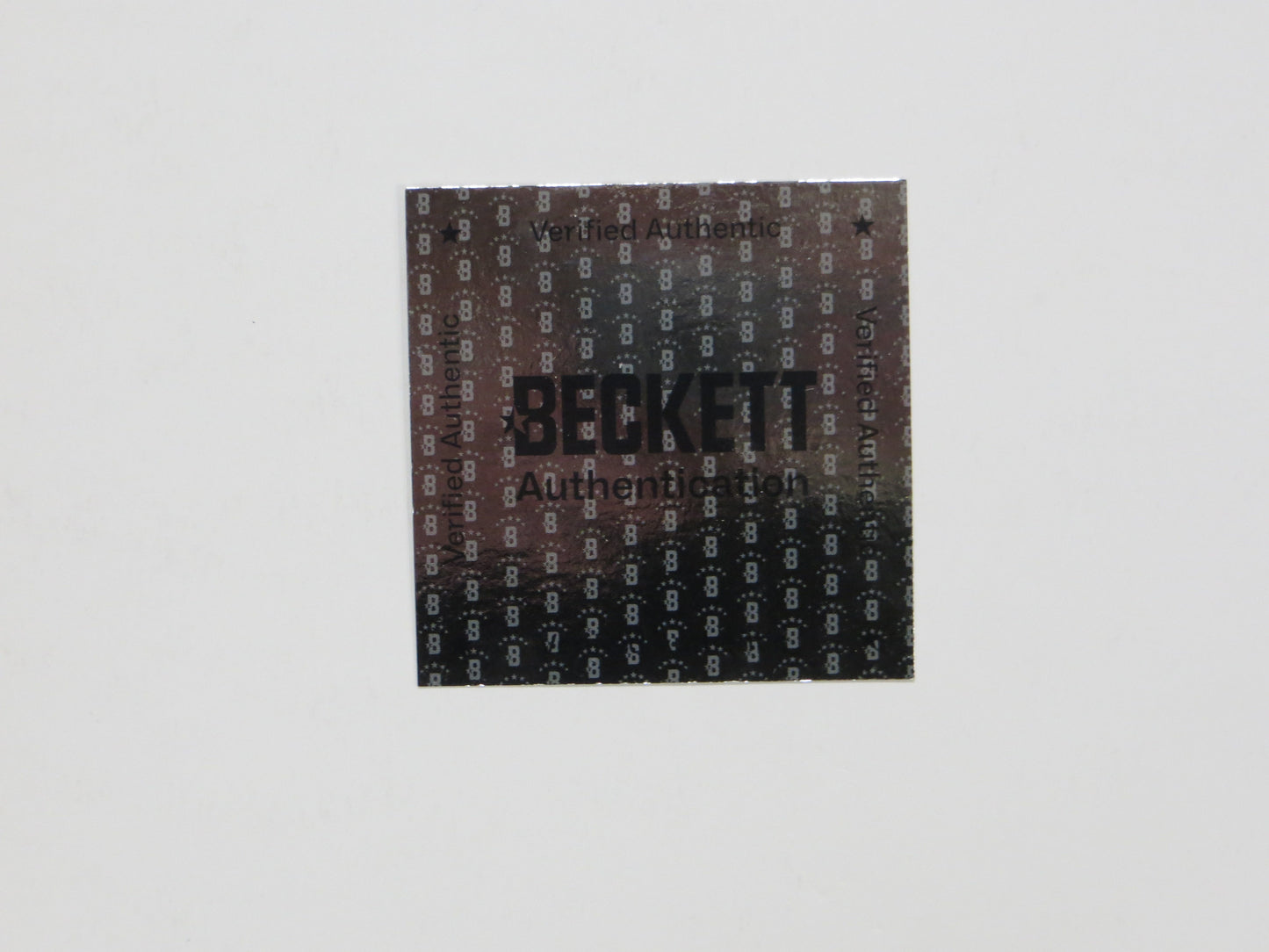 ED BELFOUR Dallas Stars SIGNED In Goal 16x20 PHOTO Leafs Blackhawks BAS COA