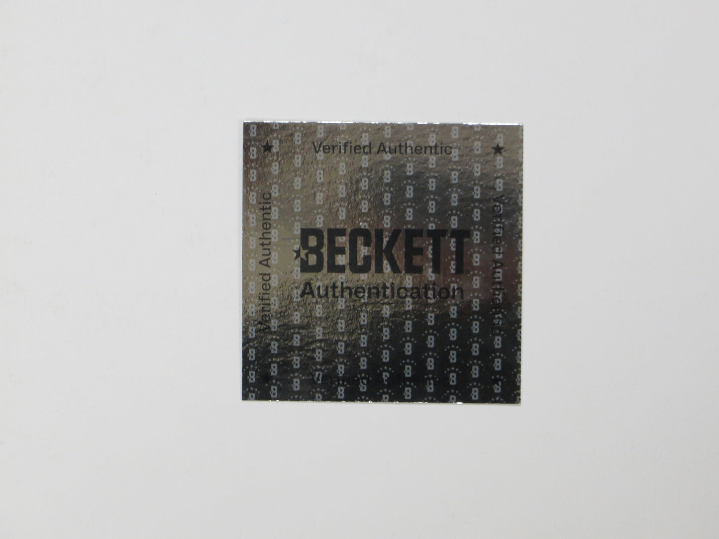 ED BELFOUR Dallas Stars SIGNED In Goal 16x20 PHOTO Leafs Blackhawks BAS COA