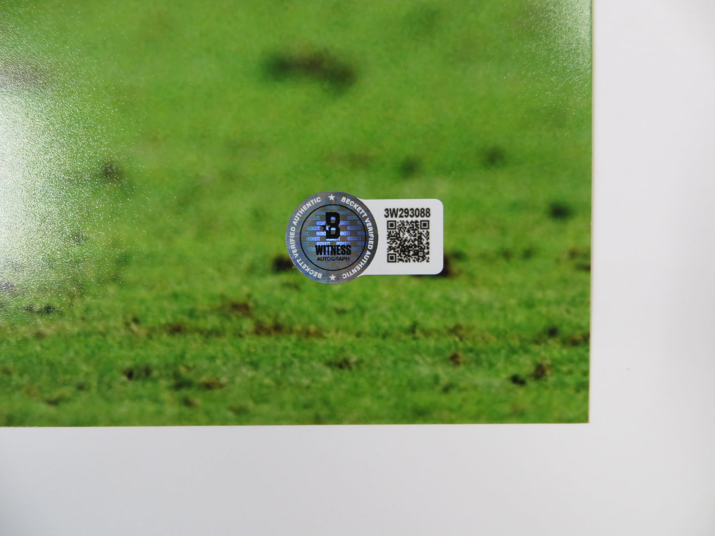 DAT NGUYEN TEXAS A&M AGGIES SIGNED 16x20 PHOTO Dallas Cowboys BAS COA