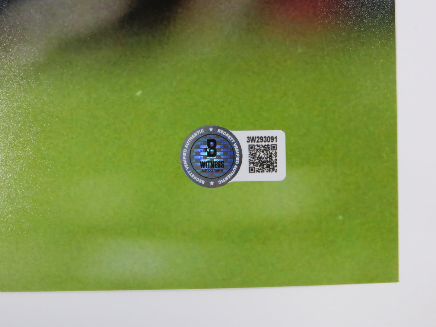 DAT NGUYEN TEXAS A&M AGGIES SIGNED 16x20 PHOTO Dallas Cowboys VICTORY BAS