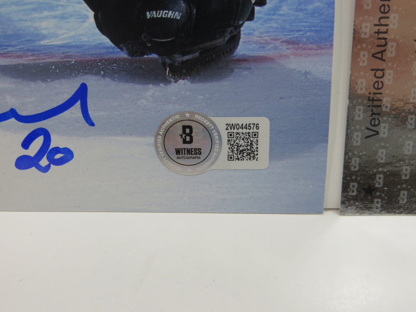 ED BELFOUR Dallas Stars SIGNED In Goal 8x10 PHOTO Leafs Blackhawks BAS COA