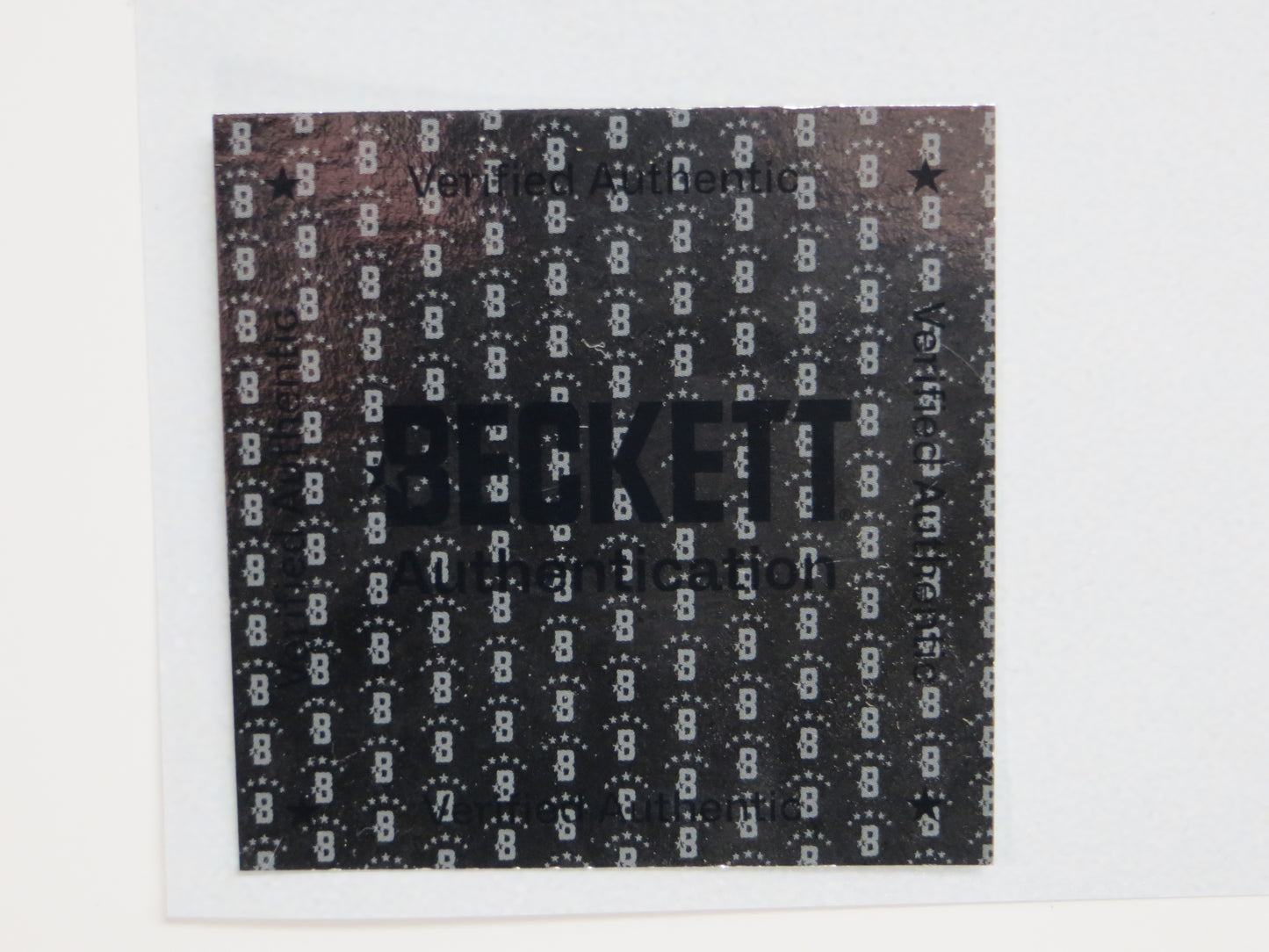 ED BELFOUR Dallas Stars SIGNED STANLEY CUP 16x20 PHOTO Leafs Blackhawks BAS COA