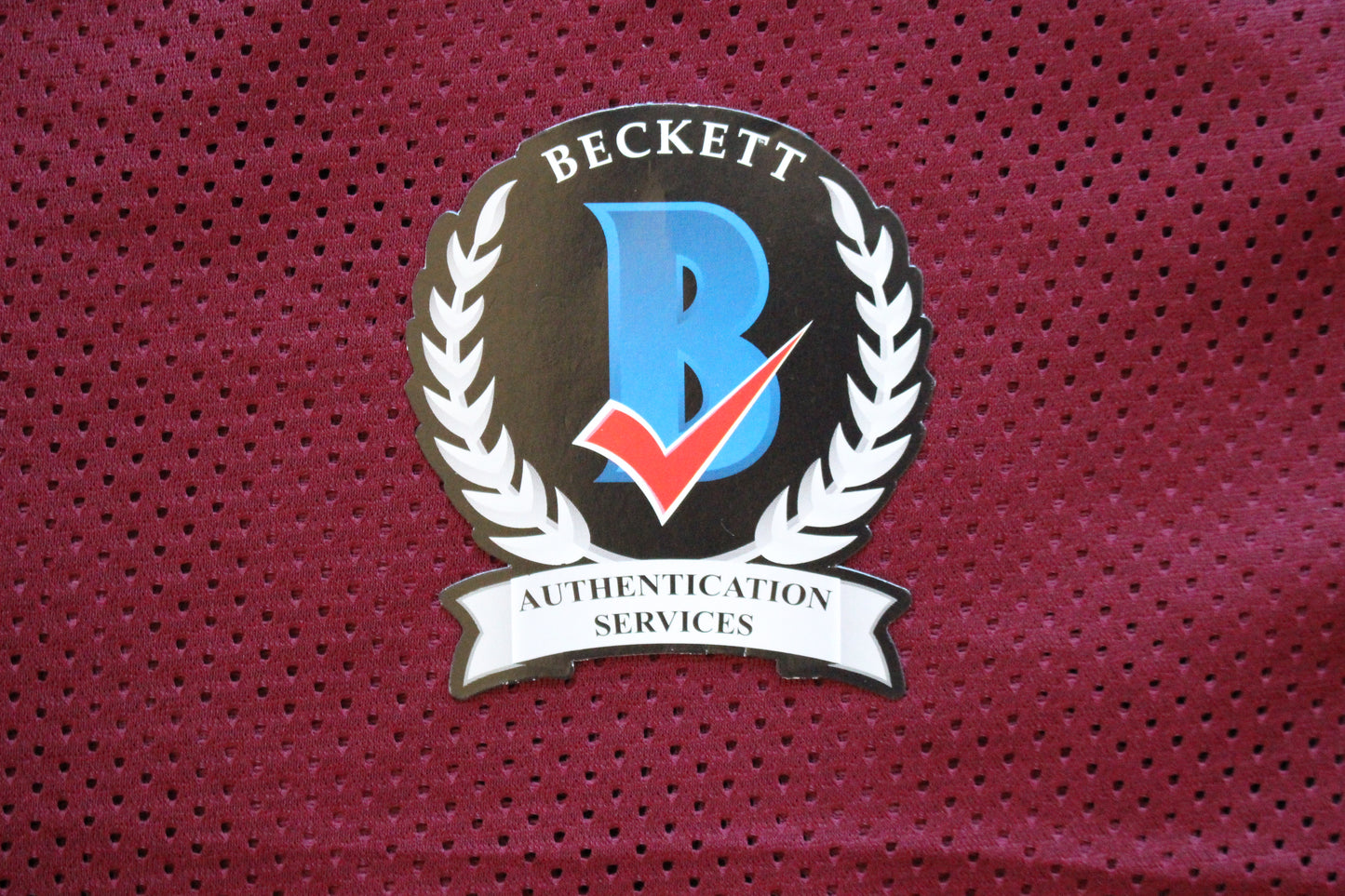 JIMMY JOHNSON SIGNED FOOTBALL JERSEY ARKANSAS RAZORBACKS w/INSC Cowboys BAS