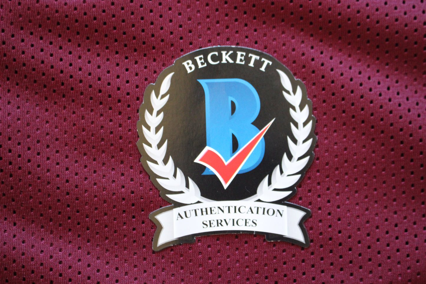 JIMMY JOHNSON SIGNED FOOTBALL JERSEY ARKANSAS RAZORBACKS w/INSC Cowboys BAS