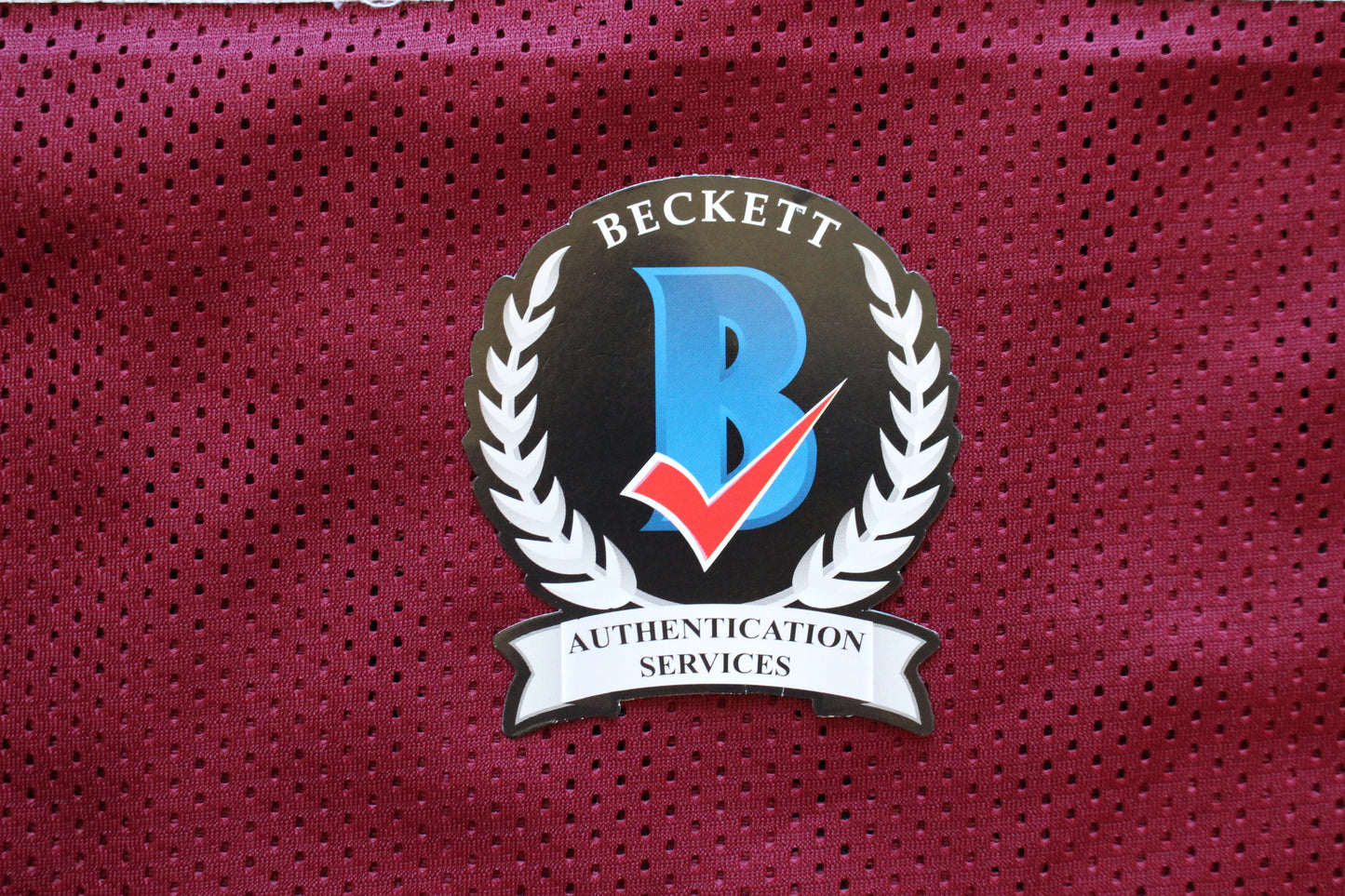 JIMMY JOHNSON SIGNED FOOTBALL JERSEY ARKANSAS RAZORBACKS w/INSC Cowboys BAS