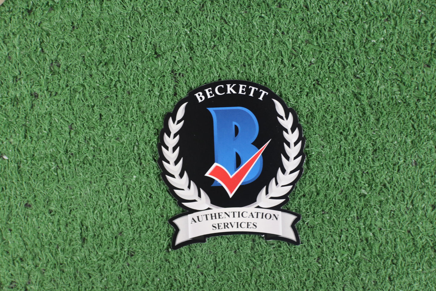 DARREN McFADDEN SIGNED ARKANSAS RAZORBACKS SIGNED 16x20 Photo RUN DMC BAS