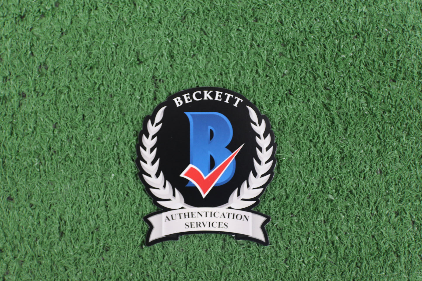 DARREN McFADDEN SIGNED ARKANSAS RAZORBACKS SIGNED 16x20 Photo RUN DMC BAS