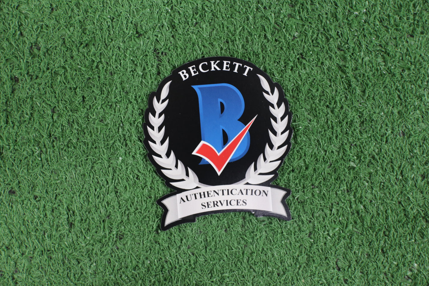 DARREN McFADDEN SIGNED ARKANSAS RAZORBACKS SIGNED 16x20 Photo RUN DMC BAS