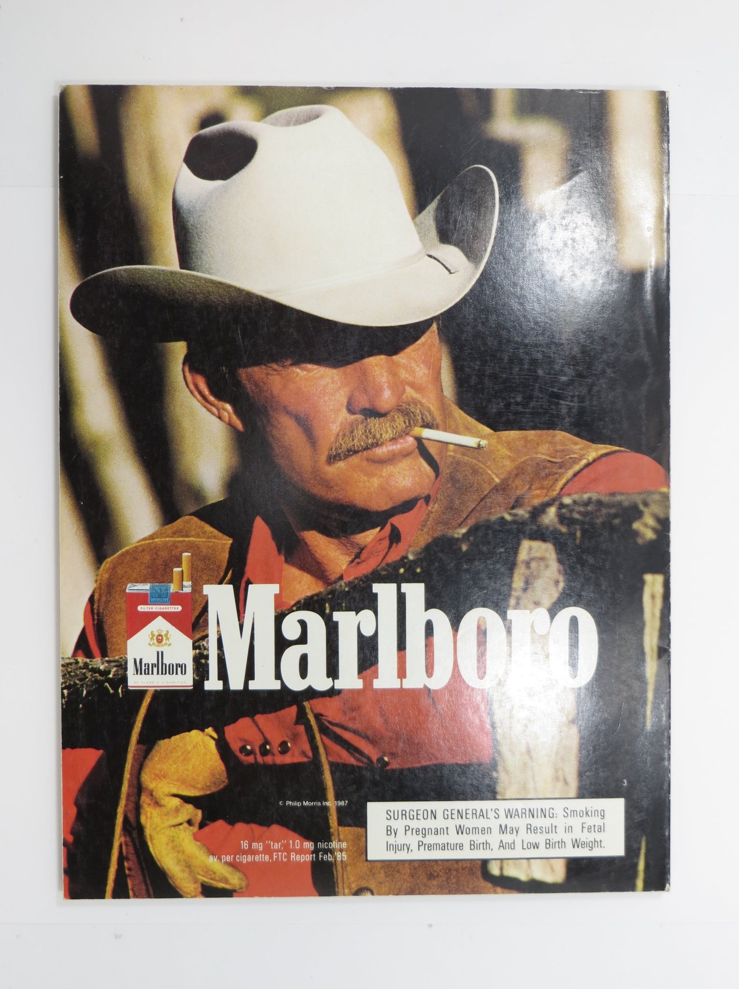 DOUG WILLIAMS WASHINGTON REDSKINS SIGNED Super Bowl XXII Program JSA