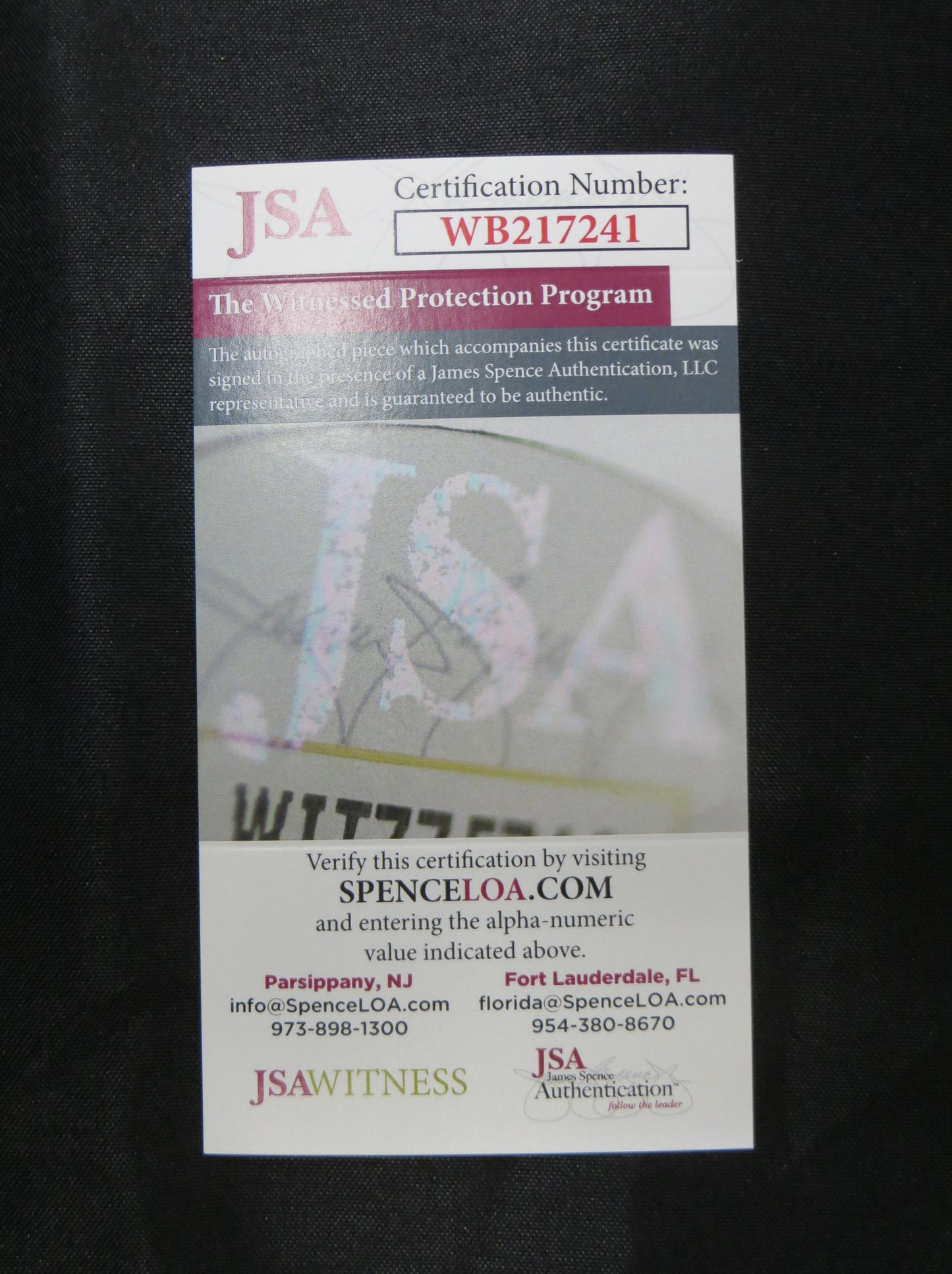 DARREN McFADDEN SIGNED ARKANSAS RAZORBACKS SIGNED 8x10 Photo JSA