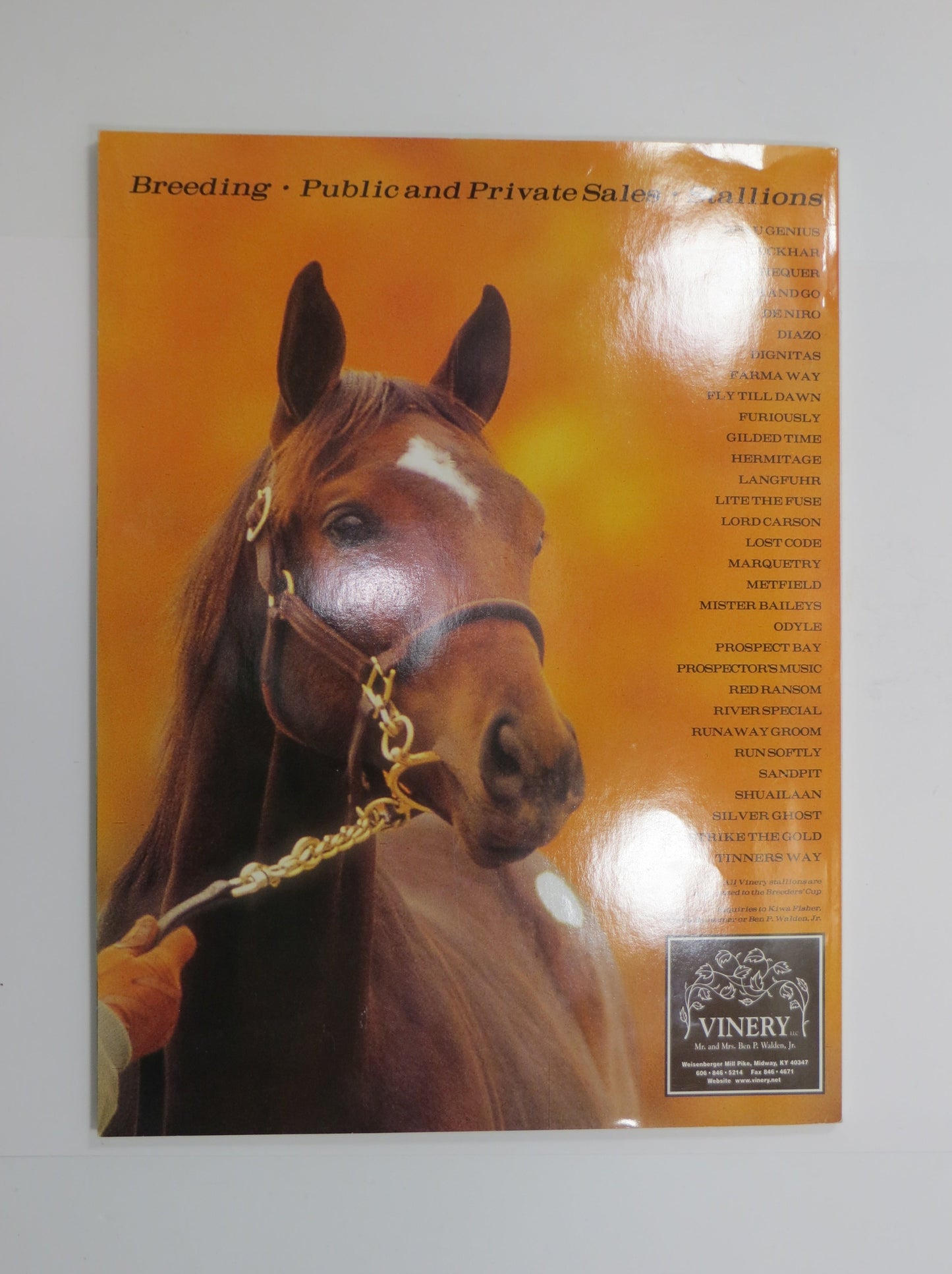 STEVE CAUTHEN SIGNED The Backstretch Program 1998 Triple Crown HORSE RACING JSA