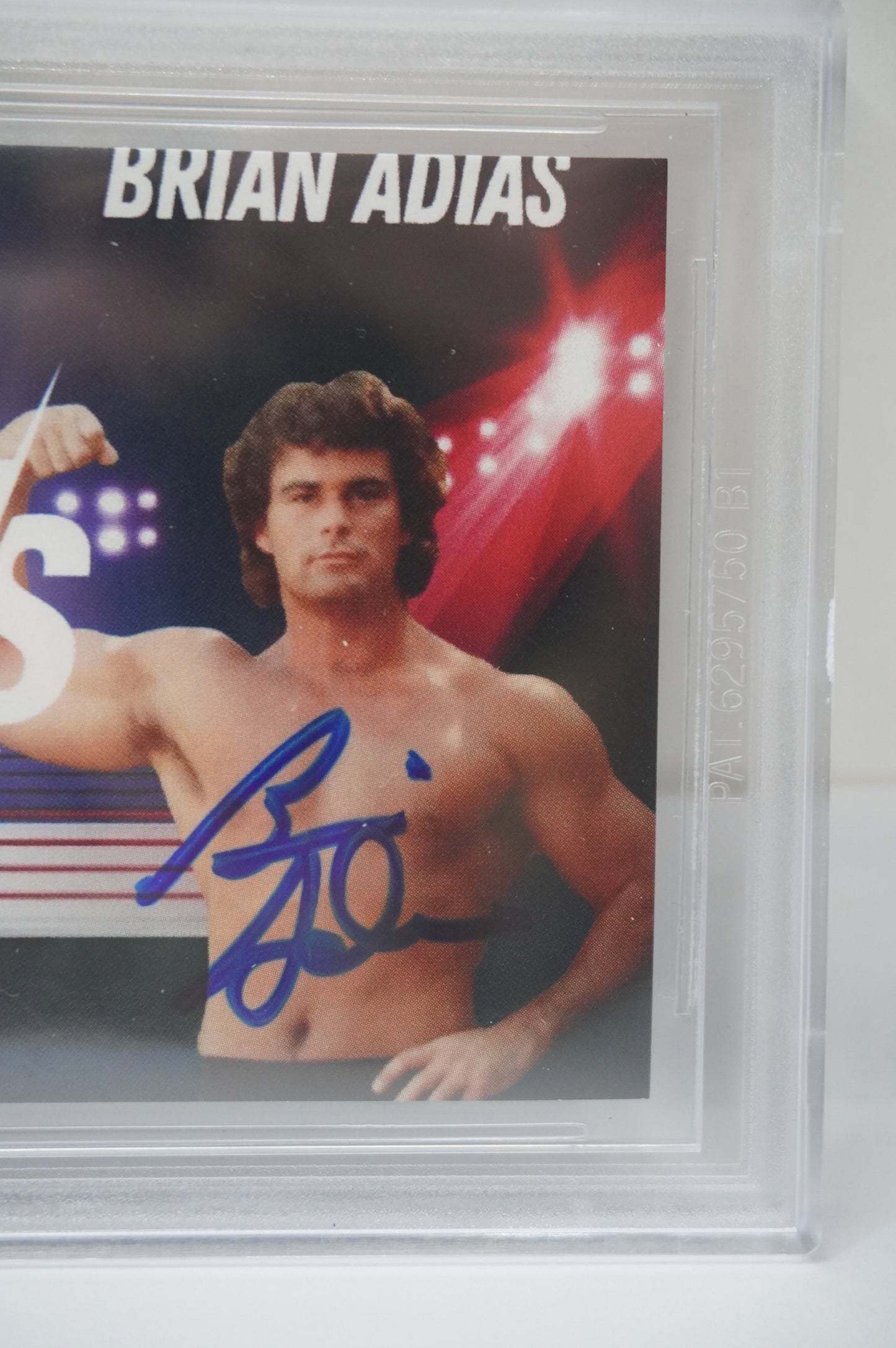 2024 JUNE INVESTABILIA SERIES 2 KEVIN VON ERICH/BRIAN ADIAS #12 BGS AUTH. AUTO