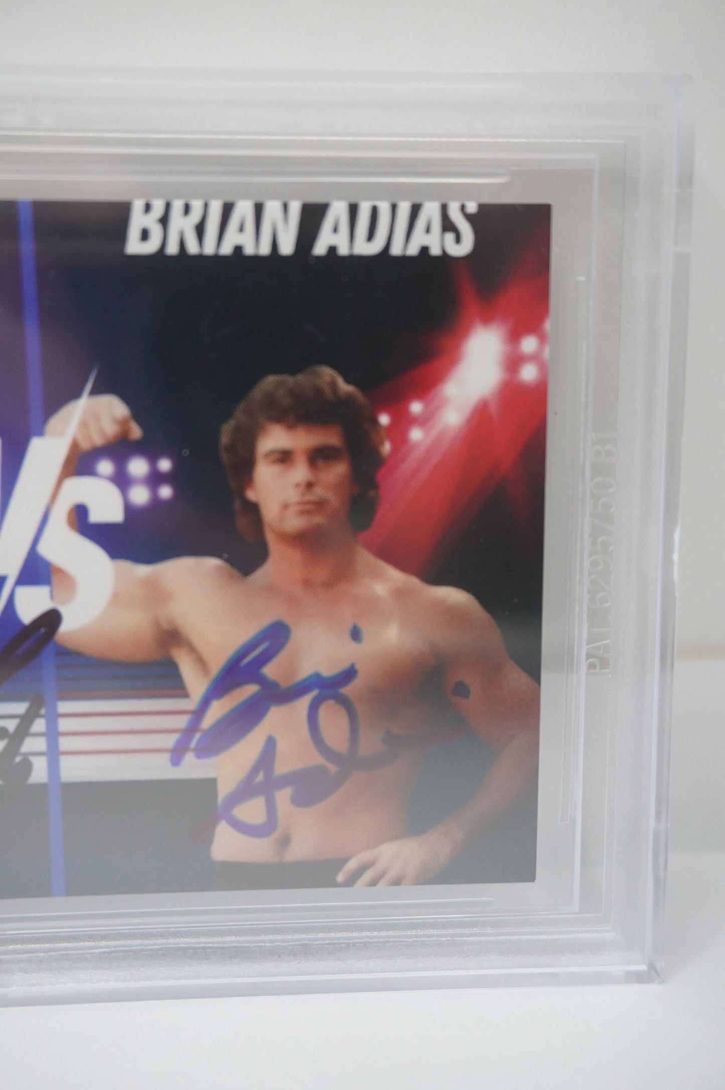 2024 JUNE INVESTABILIA SERIES 2 KEVIN VON ERICH/BRIAN ADIAS #12 BGS AUTH. AUTO