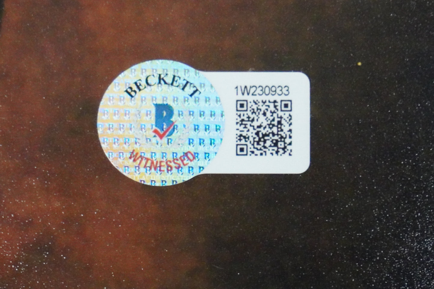 KEVIN VON ERICH SIGNED 8x10 PHOTO w/Kerry BAS COA