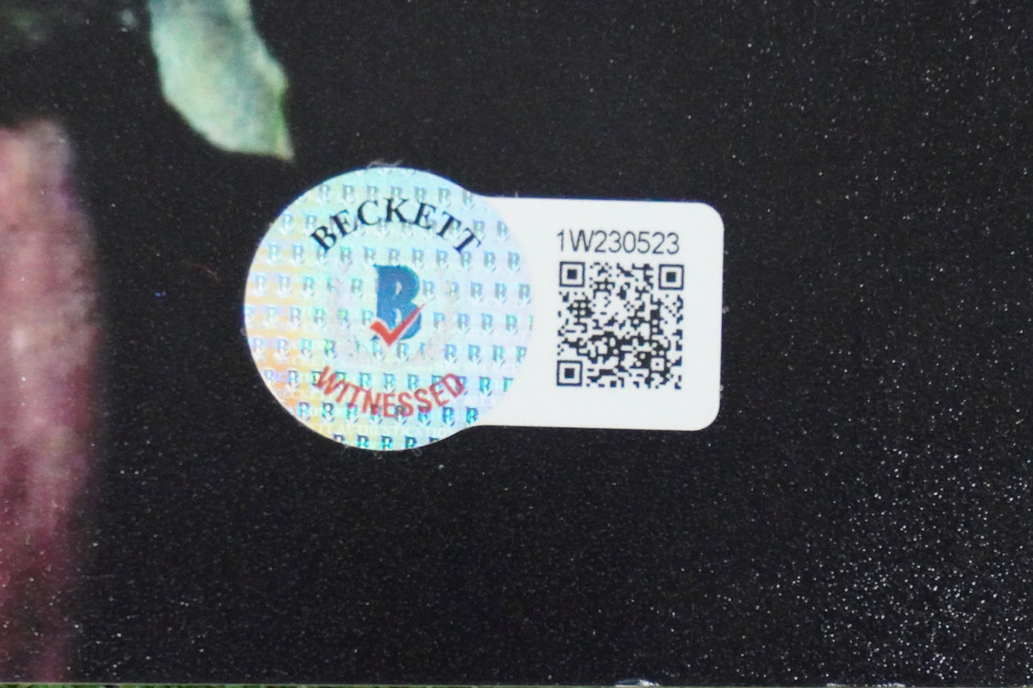 KEVIN VON ERICH SIGNED 8x10 PHOTO Blood and Roses BAS COA