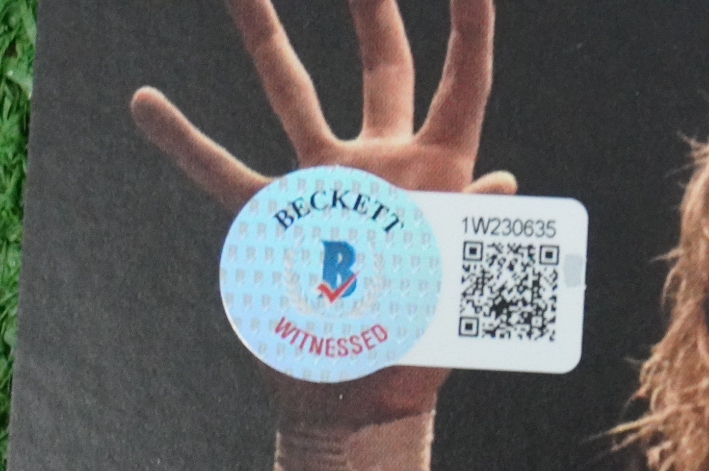 KEVIN VON ERICH SIGNED 11x14 IRON CLAW MOVIE POSTER w/INSC ZAC BAS COA