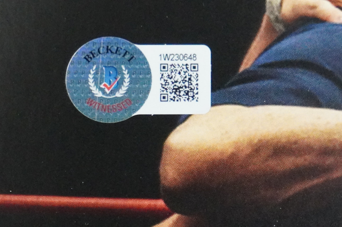 KEVIN VON ERICH SIGNED 11x14 IRON CLAW MOVIE POSTER Brothers BAS COA