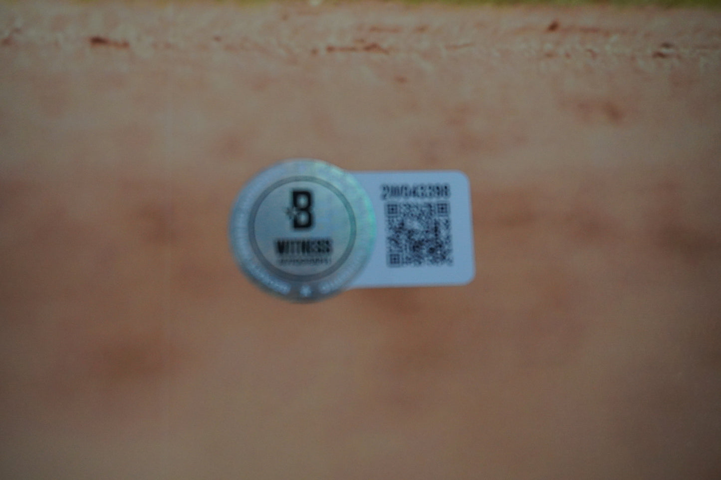 IAN KINSLER TEXAS RANGERS SIGNED 16x20 FIELDING PHOTO BAS COA