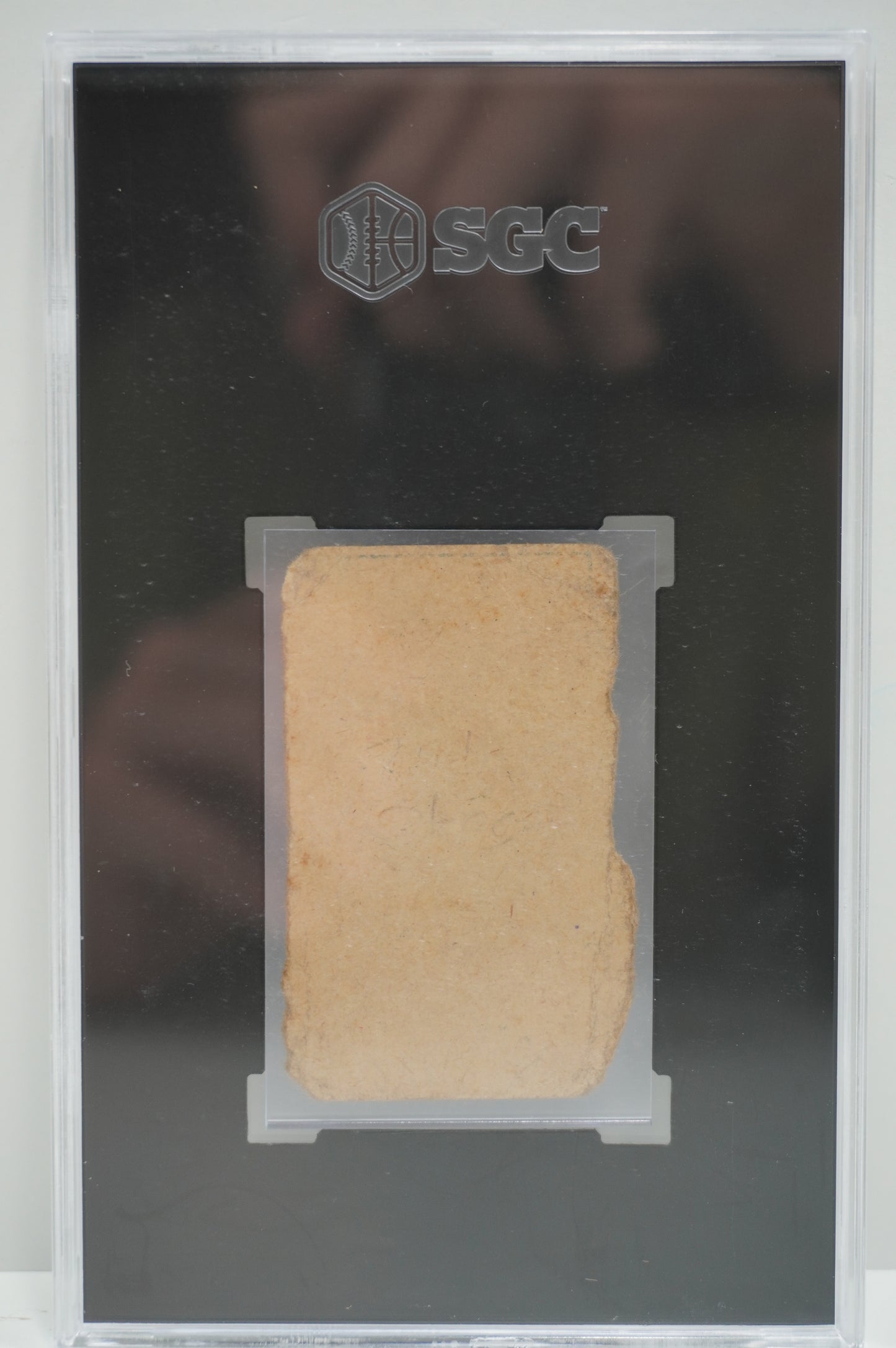 1921 W551 Ty Cobb SGC Authentic