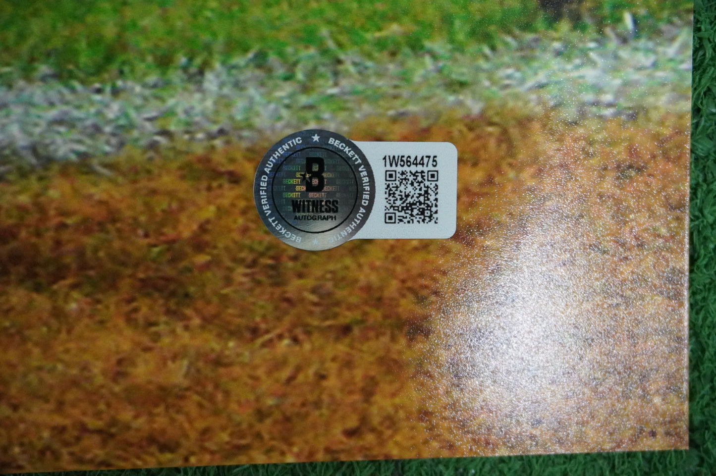 COLT McCOY TEXAS LONGHORNS SIGNED 16x20 Touchdown PHOTO BAS COA