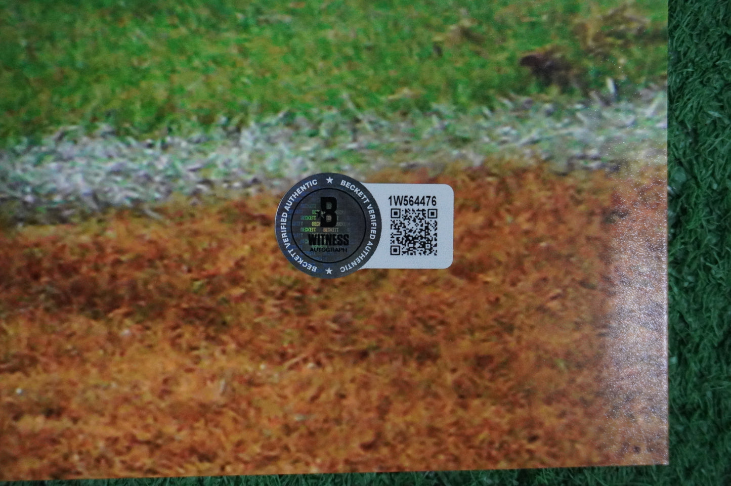 COLT McCOY TEXAS LONGHORNS SIGNED 16x20 Touchdown PHOTO BAS COA