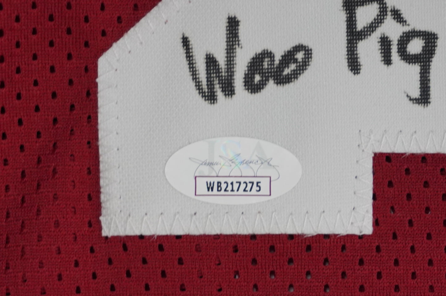 FELIX JONES ARKANSAS RAZORBACKS SIGNED JERSEY w/INSC Cowboys L JSA COA