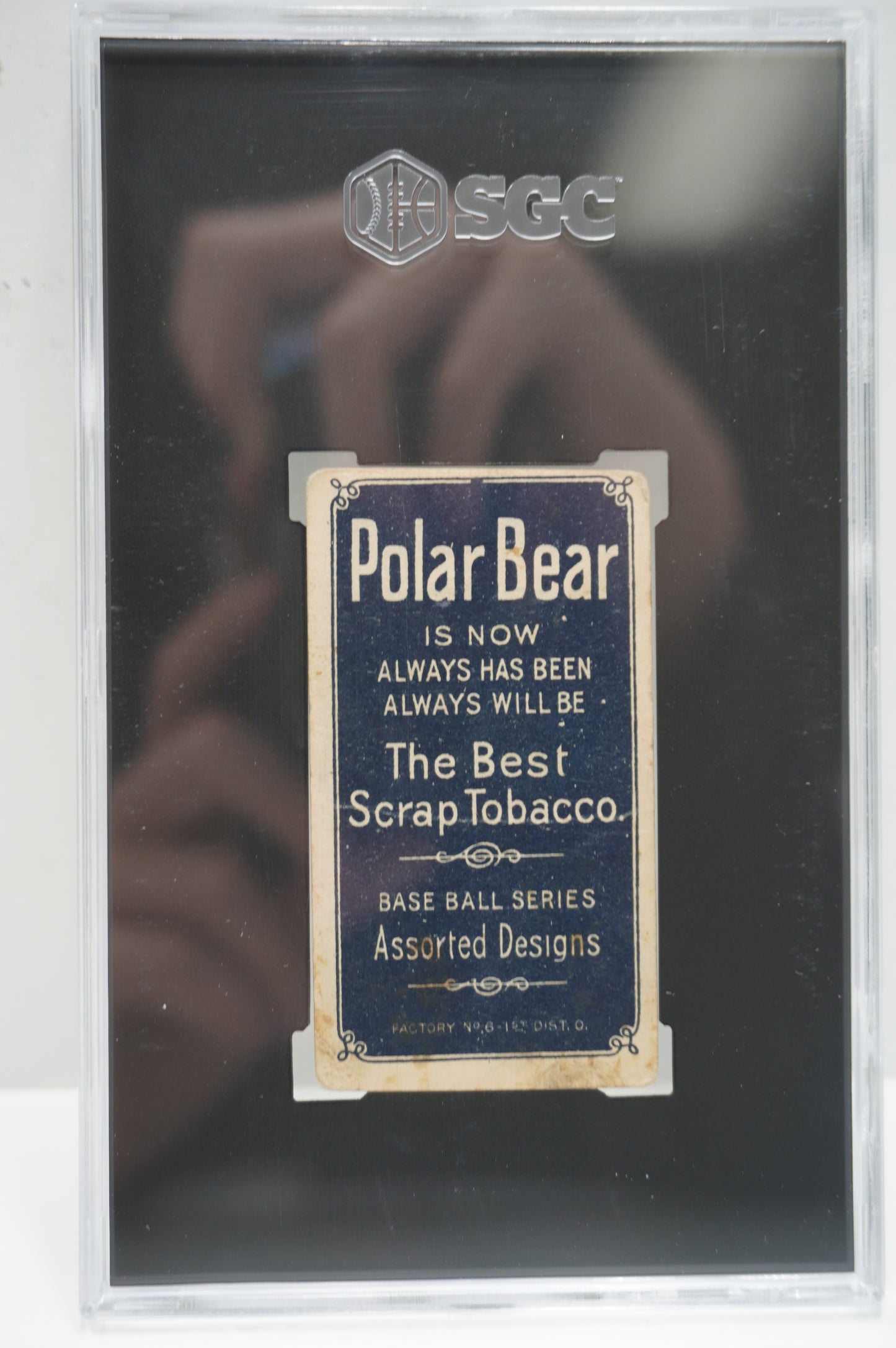 1909-11 Polar Bear T206 Howie Camnitz Hands Above Head SGC 1.5