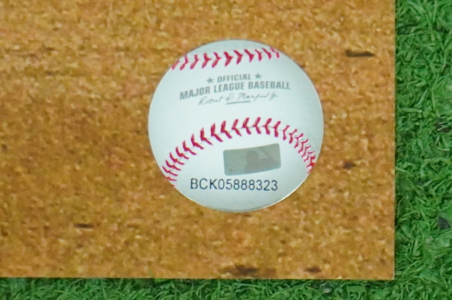 MICHAEL YOUNG TEXAS RANGERS Signed 8x10 Photo BAS COA