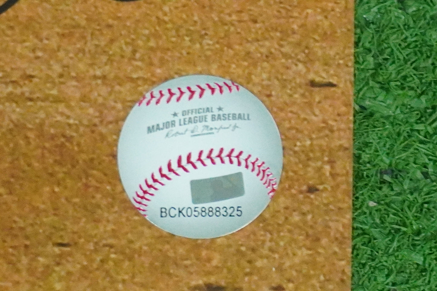 MICHAEL YOUNG TEXAS RANGERS Signed 8x10 Photo BAS COA