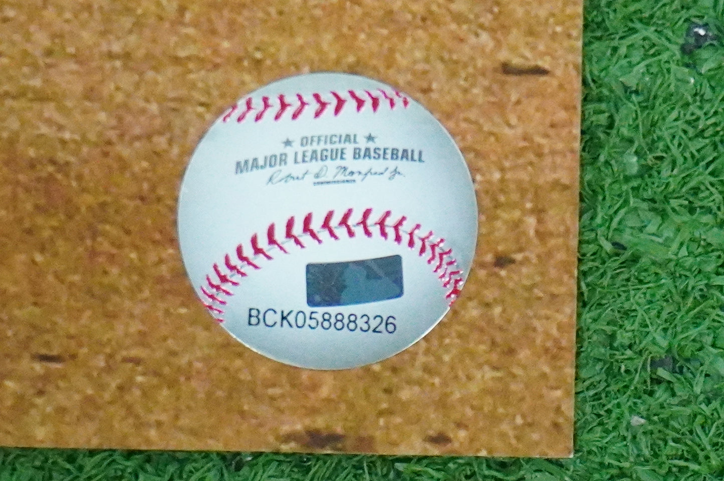 MICHAEL YOUNG TEXAS RANGERS Signed 8x10 Photo BAS COA