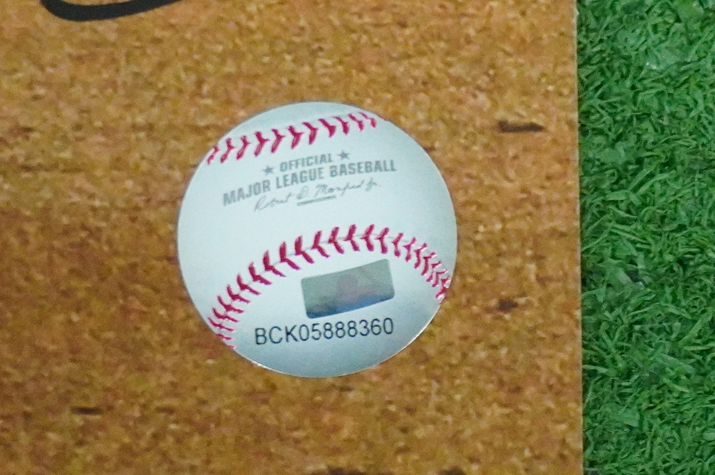 MICHAEL YOUNG TEXAS RANGERS Signed 8x10 Photo BAS COA