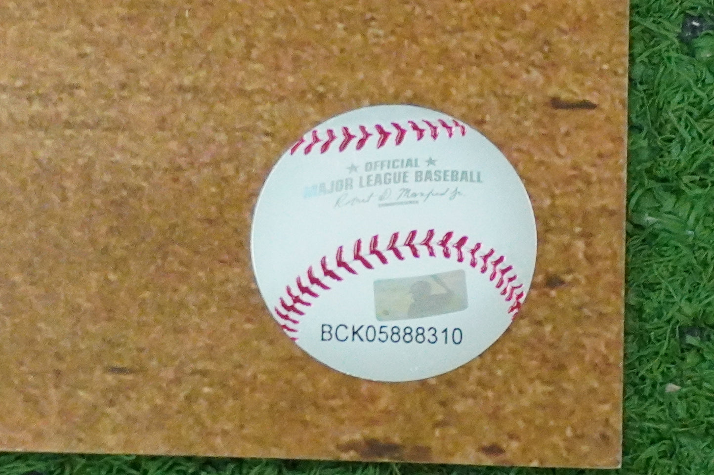 MICHAEL YOUNG TEXAS RANGERS Signed 8x10 Photo BAS COA