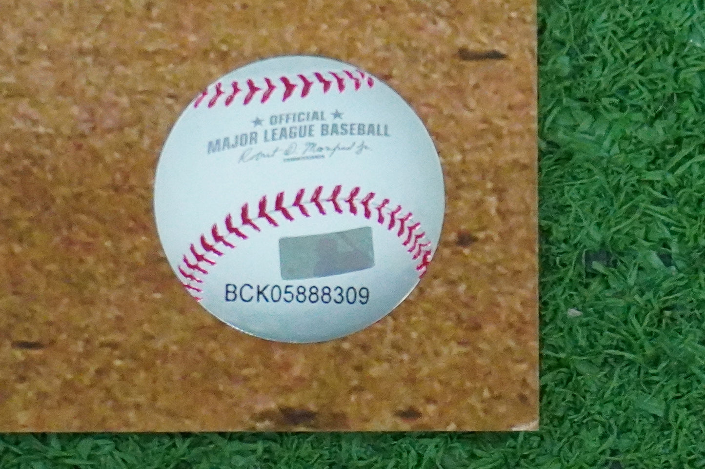 MICHAEL YOUNG TEXAS RANGERS Signed 8x10 Photo BAS COA