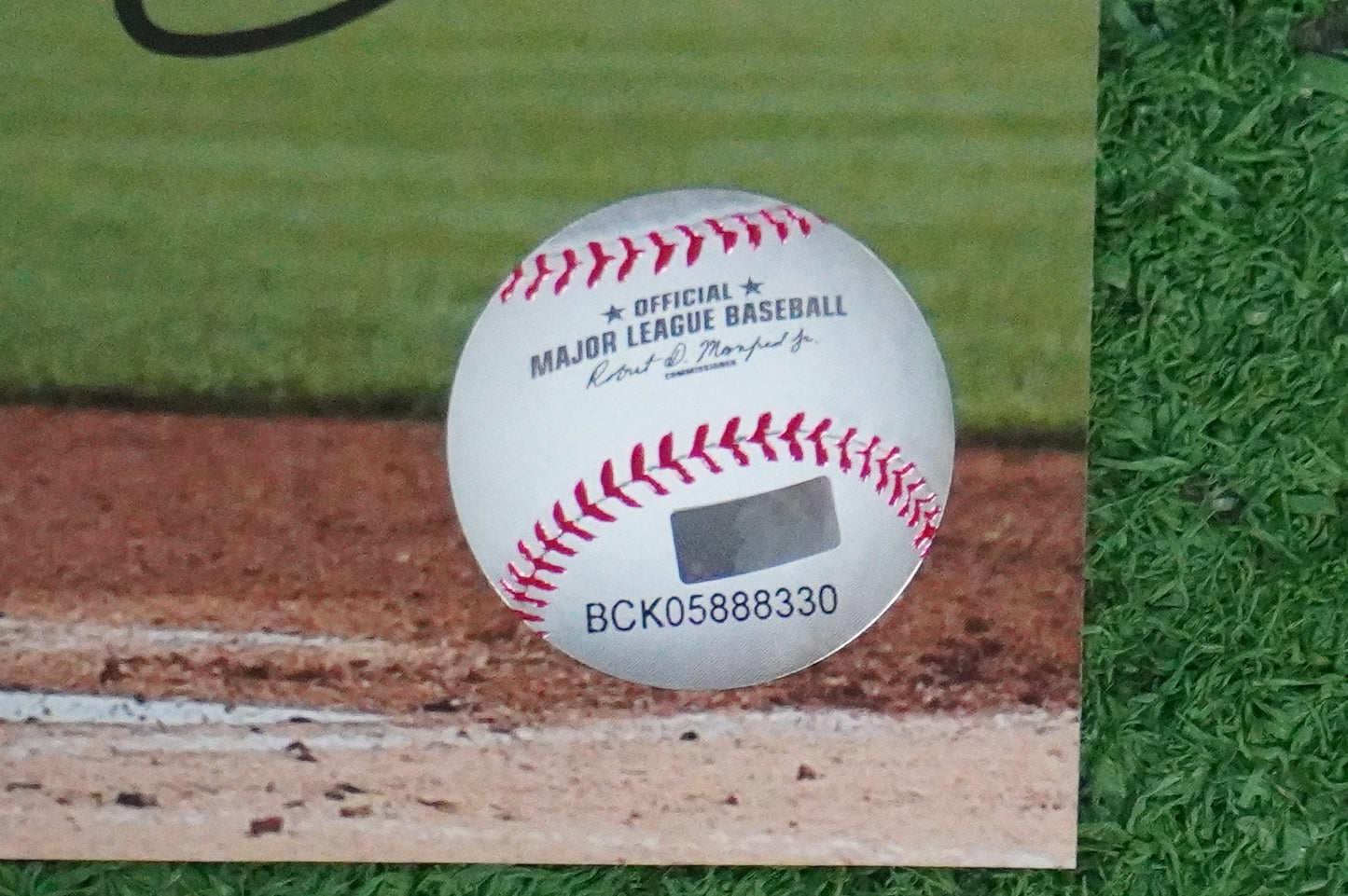 MICHAEL YOUNG TEXAS RANGERS Signed 8x10 Photo BAS COA