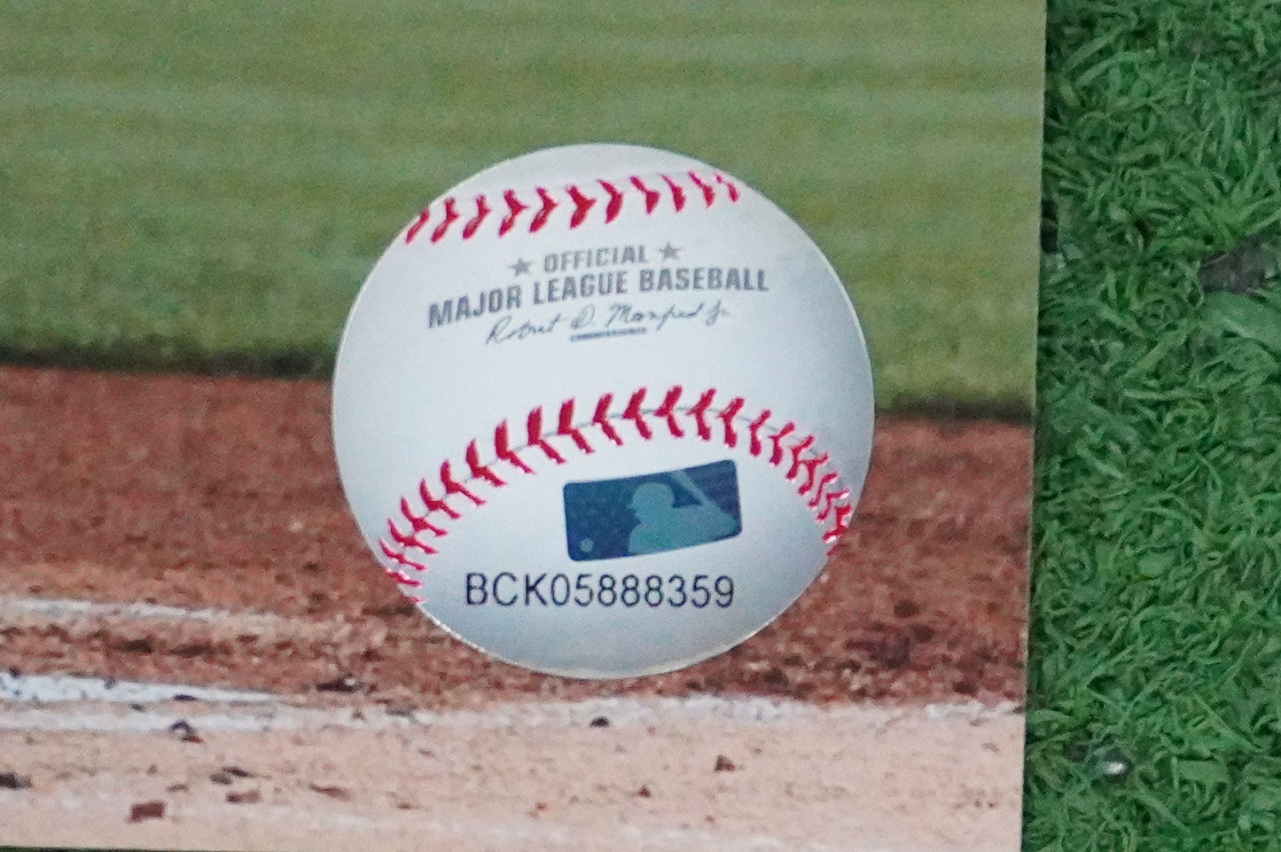 MICHAEL YOUNG TEXAS RANGERS Signed 8x10 Photo BAS COA