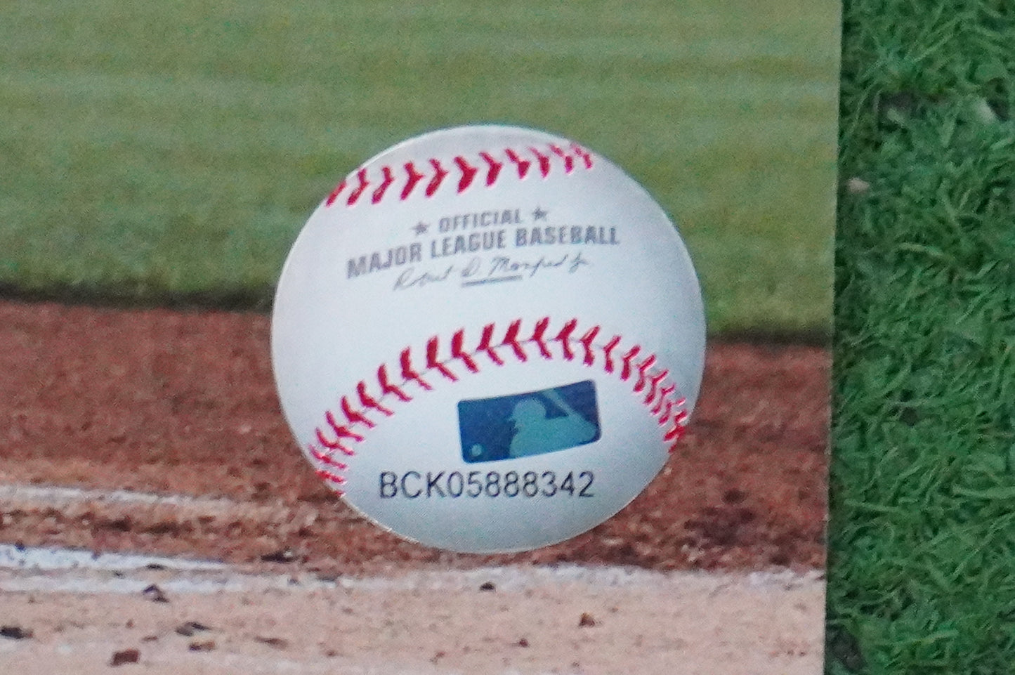 MICHAEL YOUNG TEXAS RANGERS Signed 8x10 Photo BAS COA