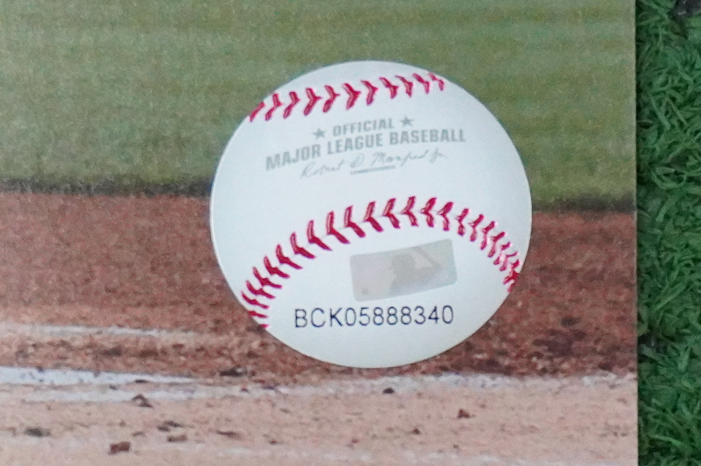 MICHAEL YOUNG TEXAS RANGERS Signed 8x10 Photo BAS COA