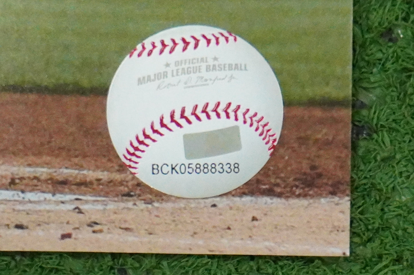 MICHAEL YOUNG TEXAS RANGERS Signed 8x10 Photo BAS COA