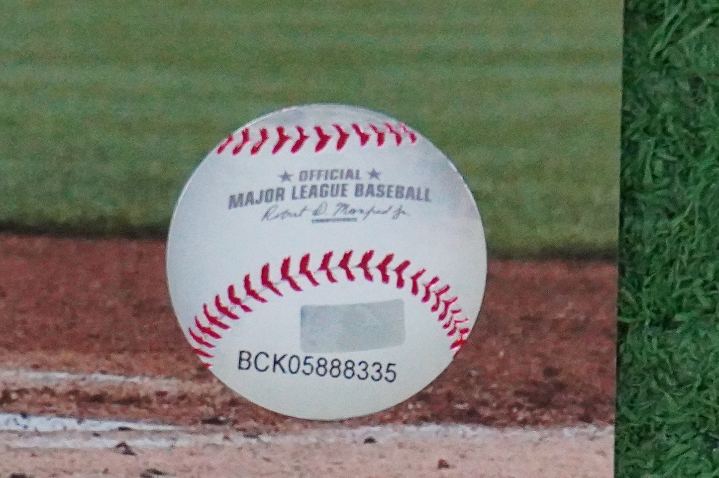 MICHAEL YOUNG TEXAS RANGERS Signed 8x10 Photo BAS COA