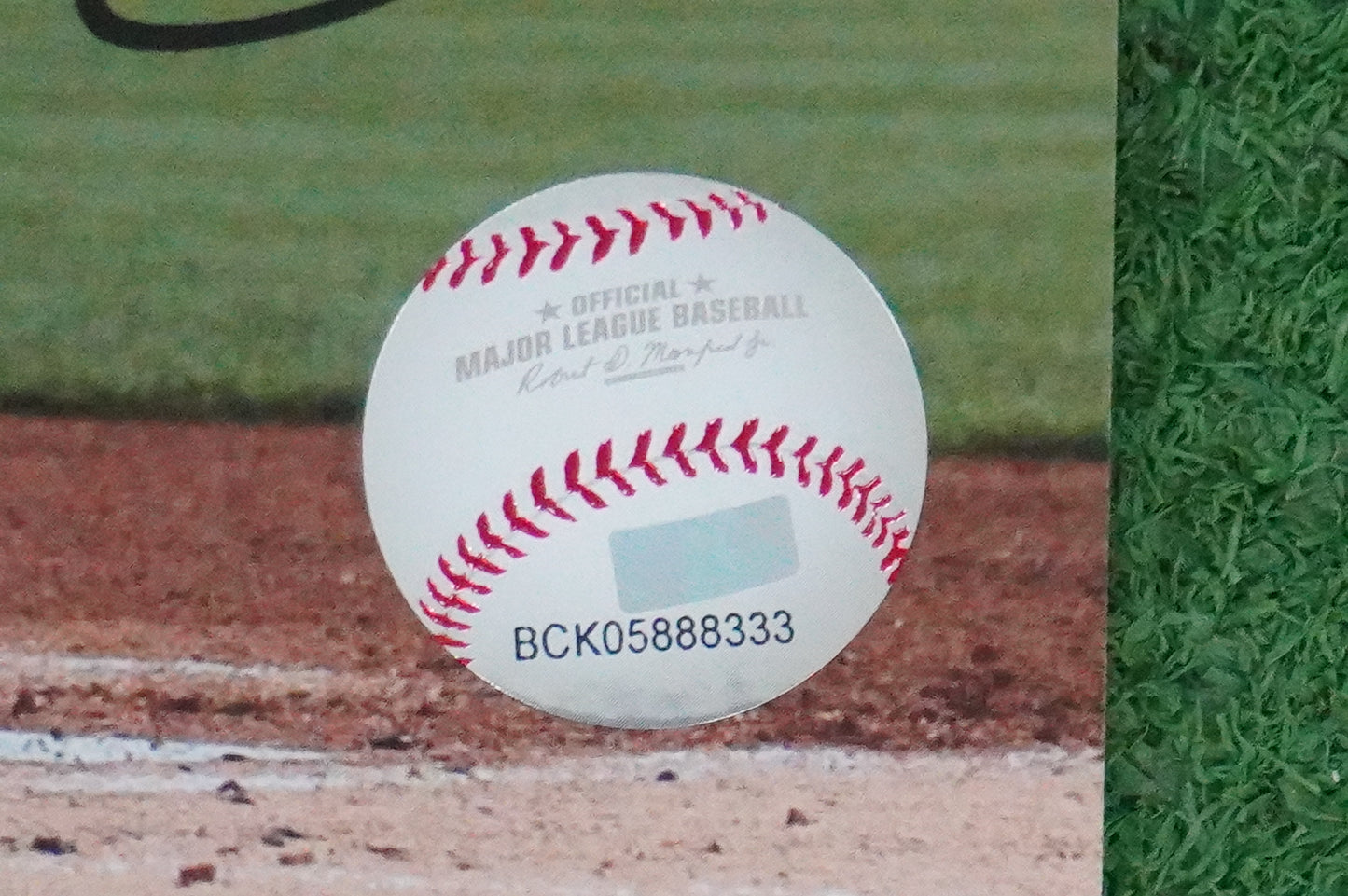 MICHAEL YOUNG TEXAS RANGERS Signed 8x10 Photo BAS COA