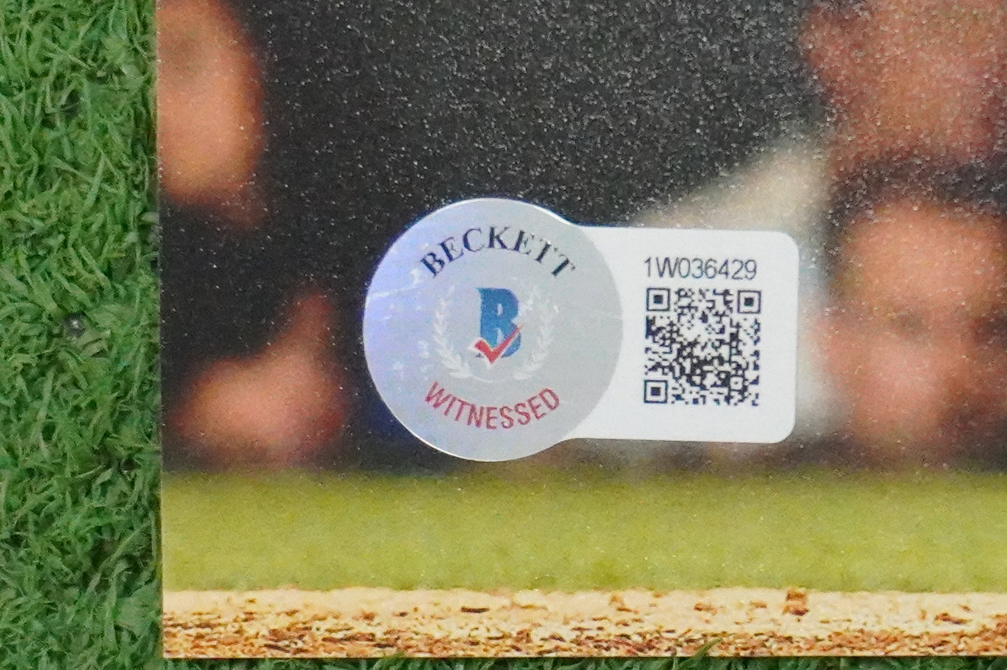 MICHAEL YOUNG TEXAS RANGERS Signed 8x10 Photo BAS COA