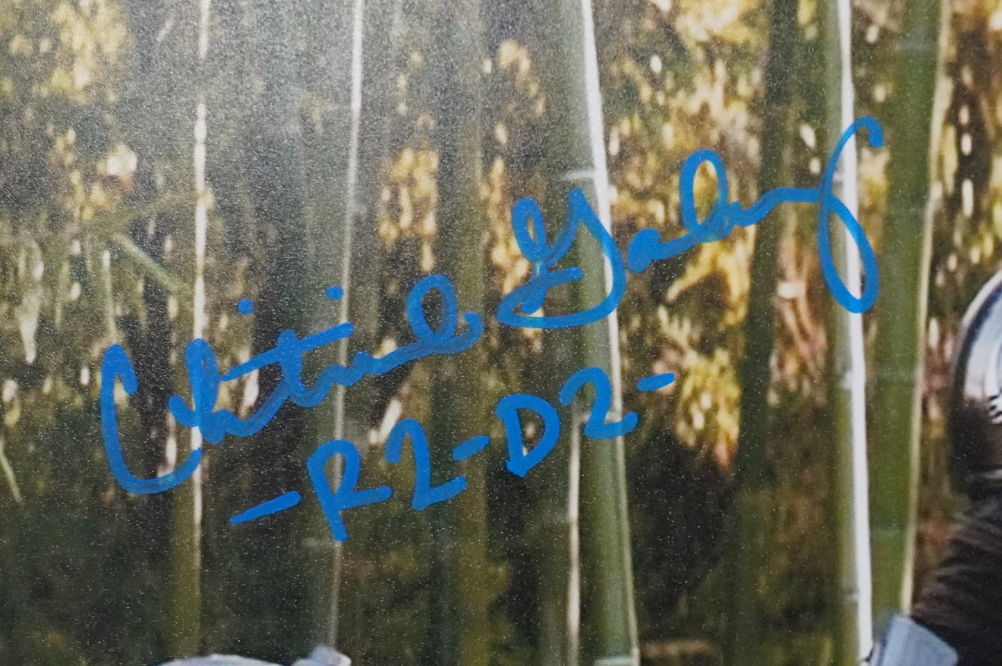 CHRISTINE GALEY SIGNED 8x10 Photo STAR WARS R2-D2 BAS COA