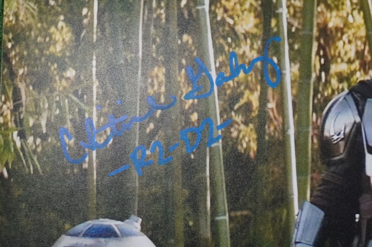 CHRISTINE GALEY SIGNED 8x10 Photo STAR WARS R2-D2 BAS COA