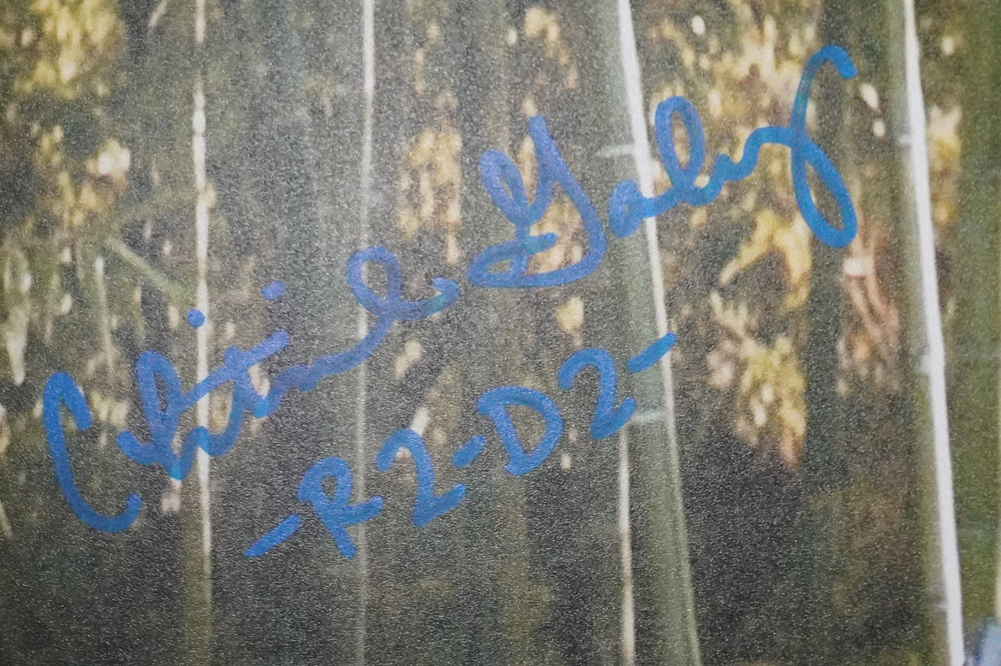 CHRISTINE GALEY SIGNED 8x10 Photo STAR WARS R2-D2 BAS COA