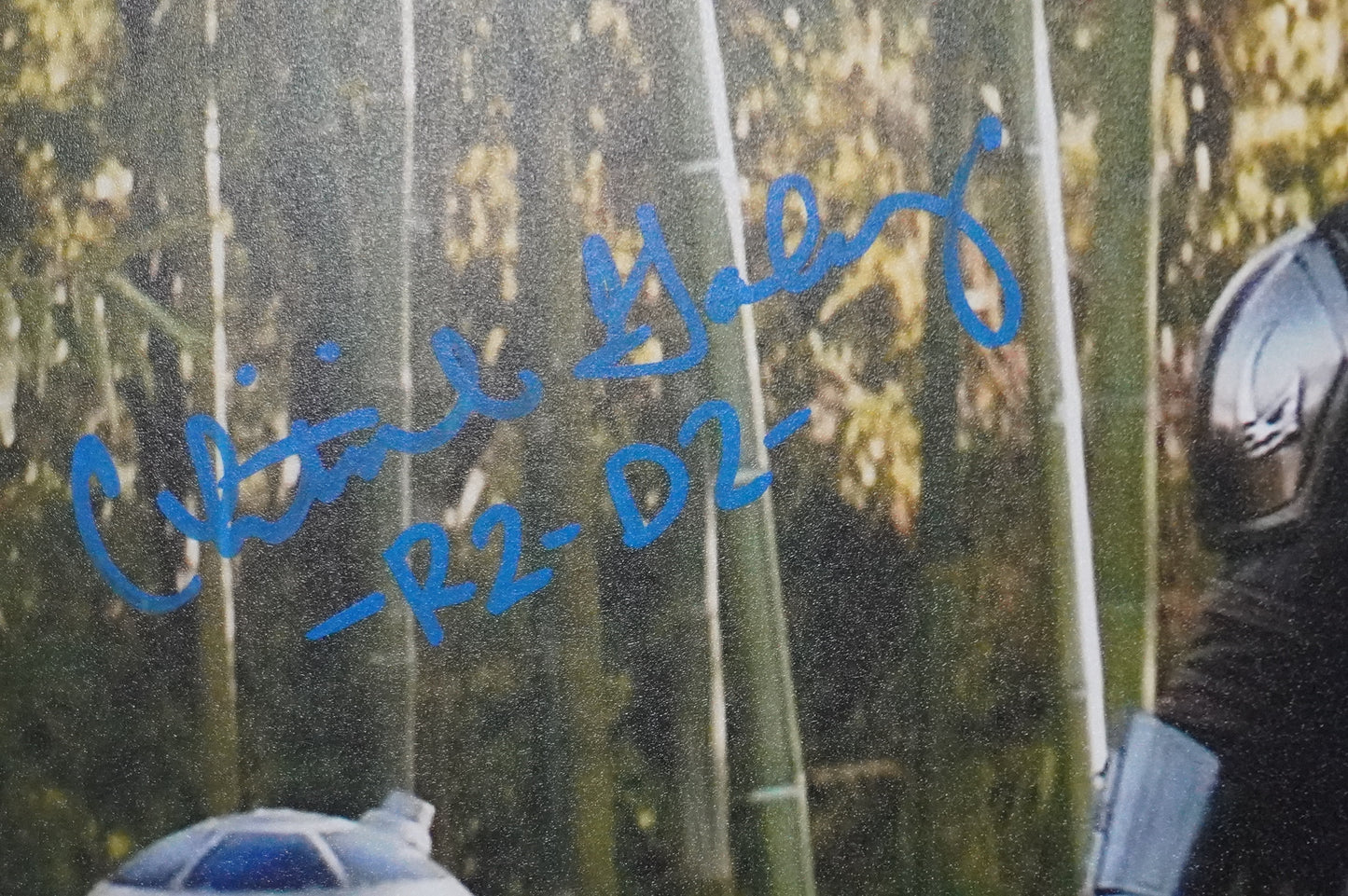 CHRISTINE GALEY SIGNED 8x10 Photo STAR WARS R2-D2 BAS COA