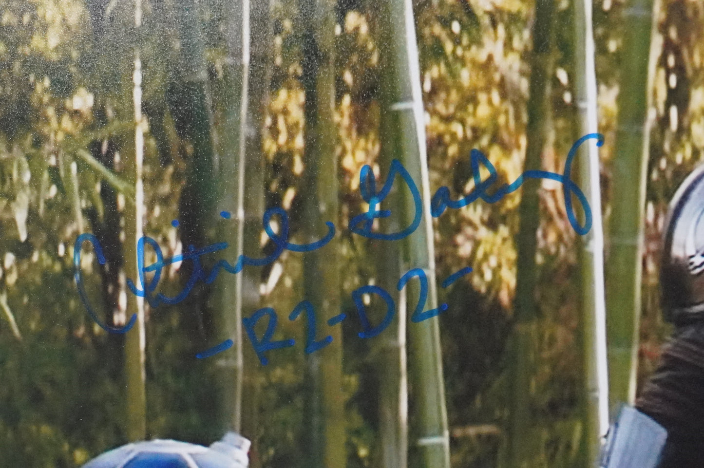 CHRISTINE GALEY SIGNED 8x10 Photo STAR WARS R2-D2 BAS COA