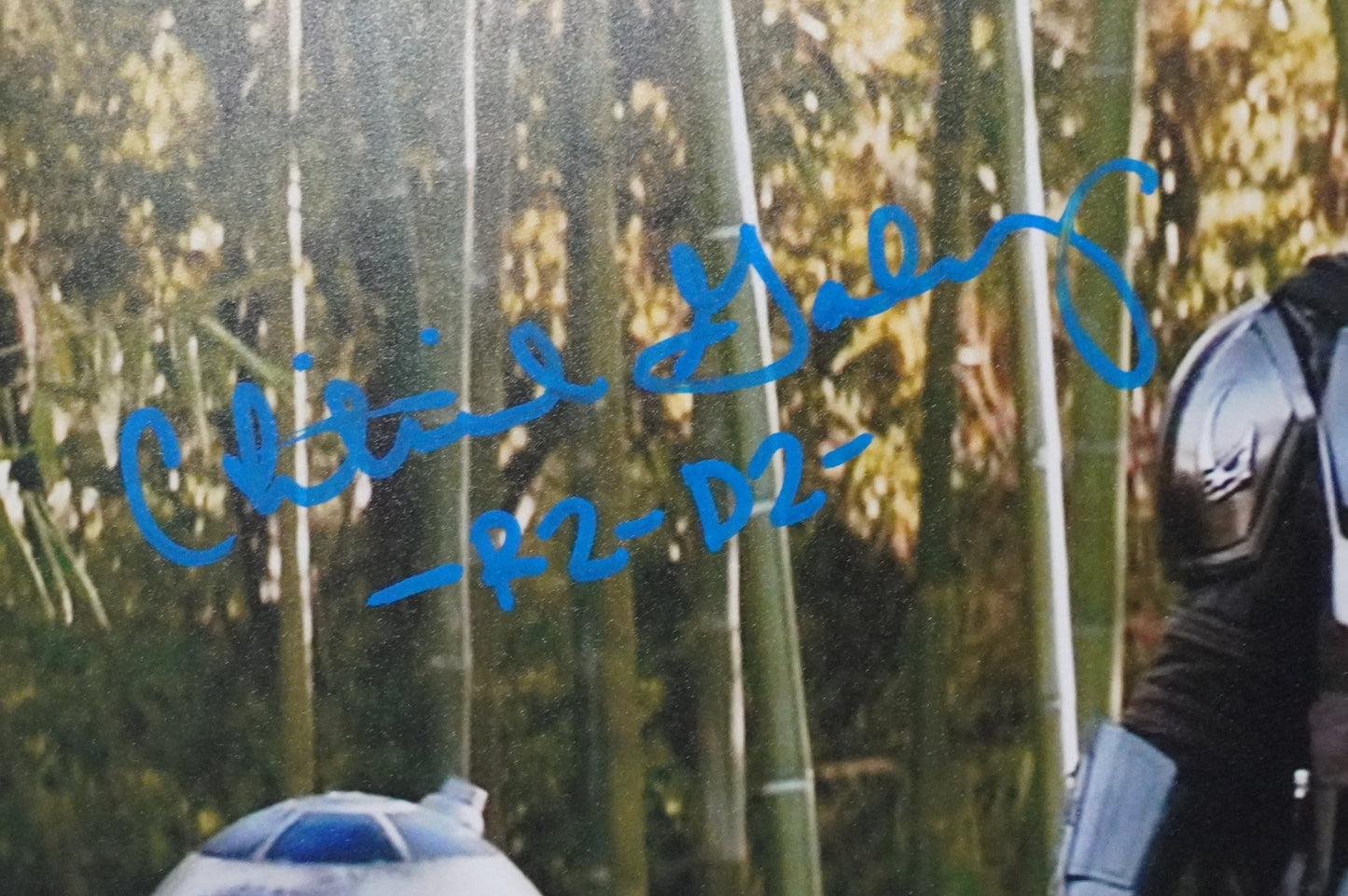 CHRISTINE GALEY SIGNED 8x10 Photo STAR WARS R2-D2 BAS COA